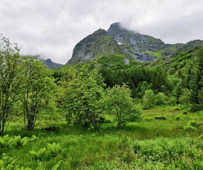 Rejs Lofoty 2024, Nusfjord